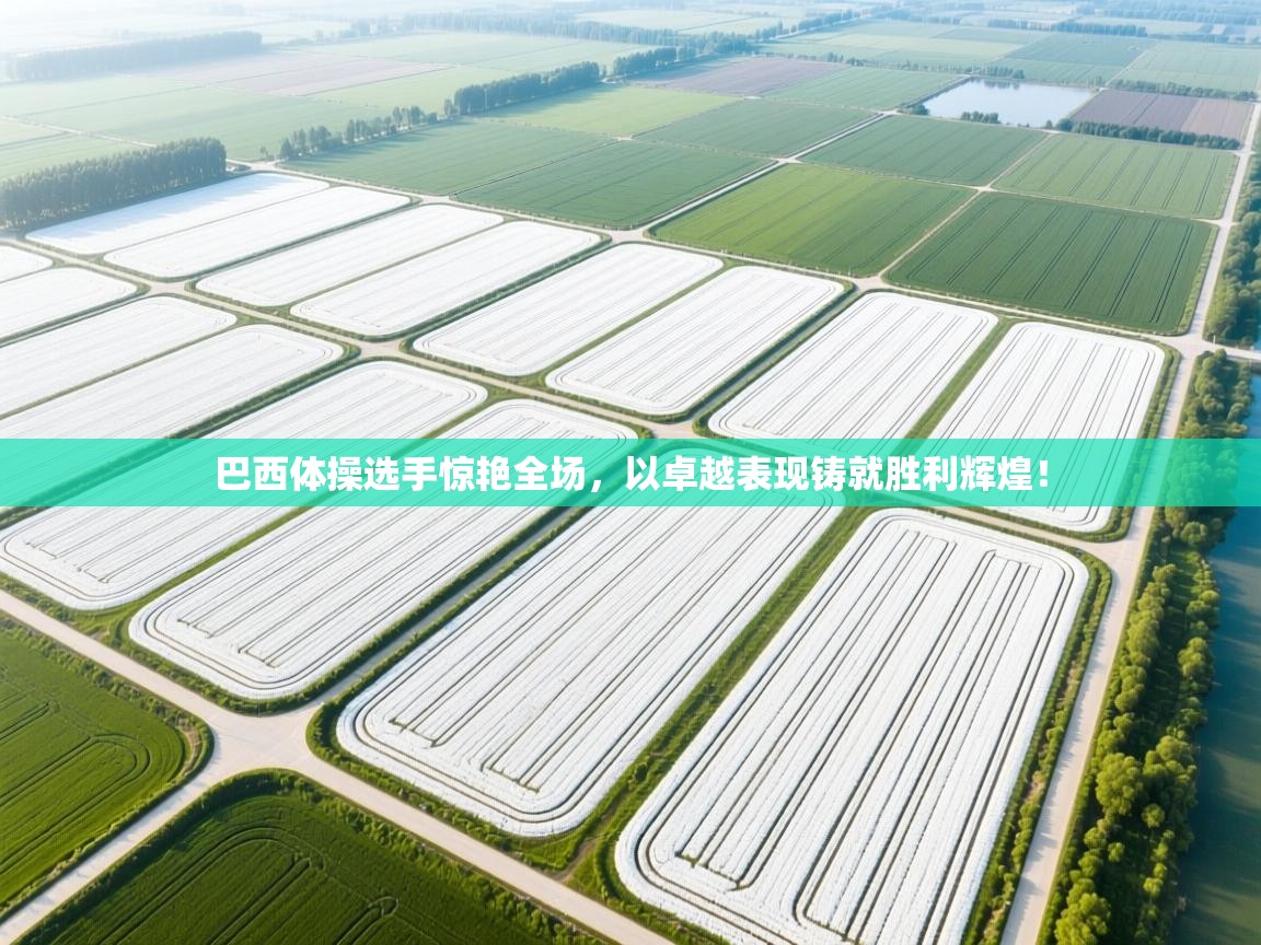 巴西体操选手惊艳全场，以卓越表现铸就胜利辉煌！  第1张